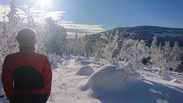 Lokal hverdagsvinter